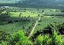 Bananenplantage. St. Lucia