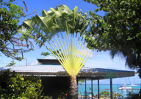 Canouan