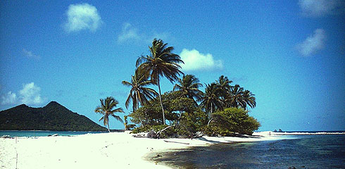 Sandy Island