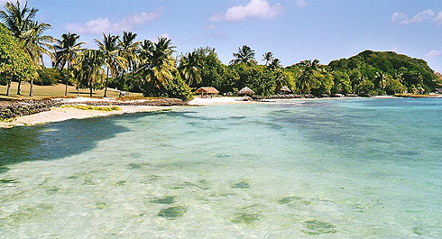 Petit St. Vincent (PSV)